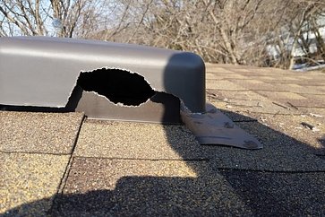 squirrel-chewing-plastic-vent